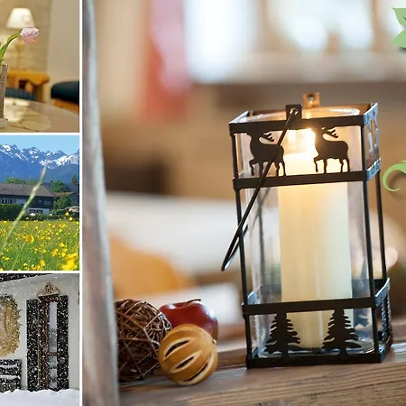 Guest house Willibald 2*