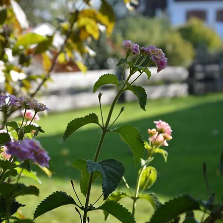 Guest house Willibald Bad Tolz